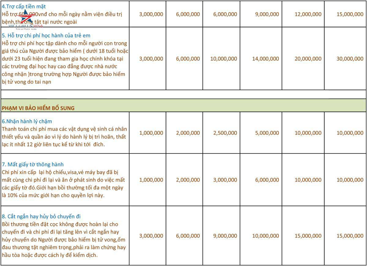 bảo hiểm du lịch quốc tế, mua bảo hiểm du lịch quốc tế, Viet Green Visa