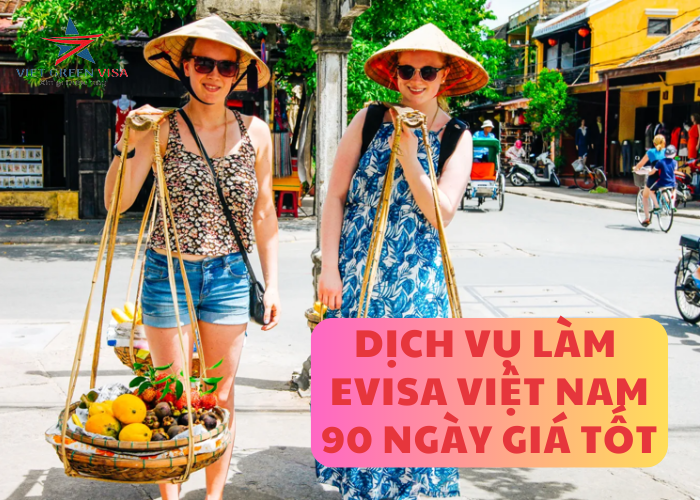 Dịch vụ  xin Evisa Việt Nam 3 tháng cho quốc tịch Mali