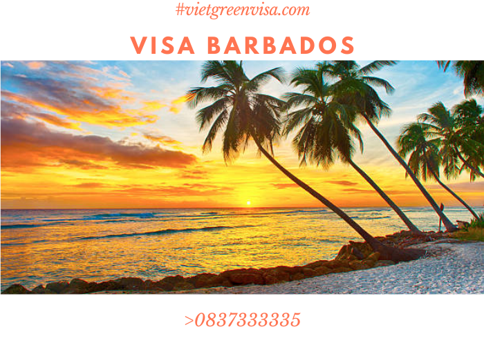 Làm Visa thuyền viên đi Barbados Nhận tàu, Lái tàu