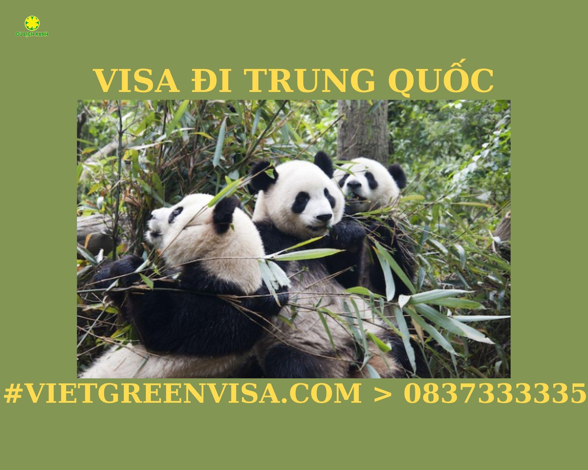 Làm Visa thuyền viên đi Trung Quốc Nhận tàu, Lái tàu