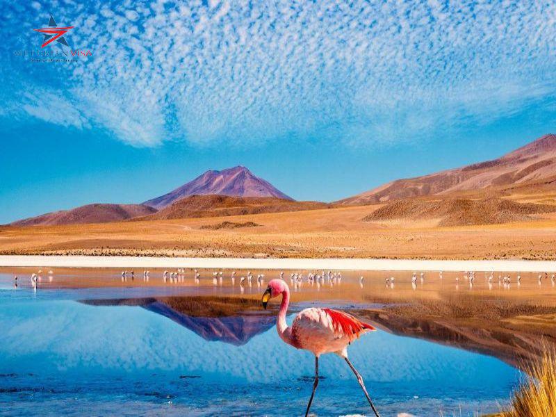 Bảo hiểm du lịch Chile xin visa Chile đạt kết quả cao