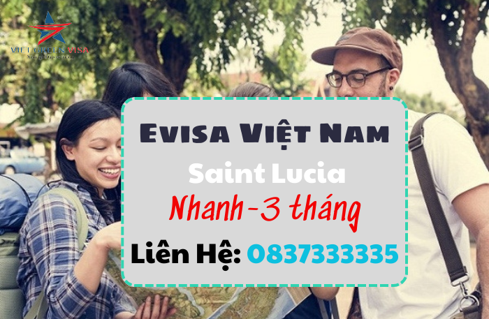 Dịch vụ là Evisa Việt Nam 3 tháng cho quốc tịch Saint Lucia